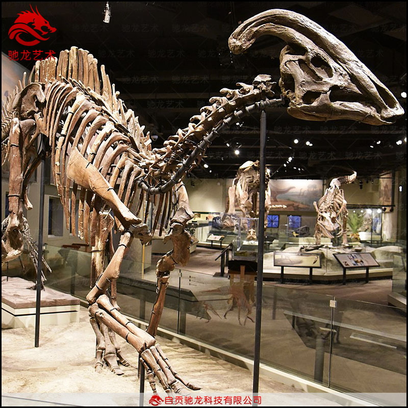 仿真副栉龙骨架化石米古生物骨架科普模型定制博物馆美陈展品