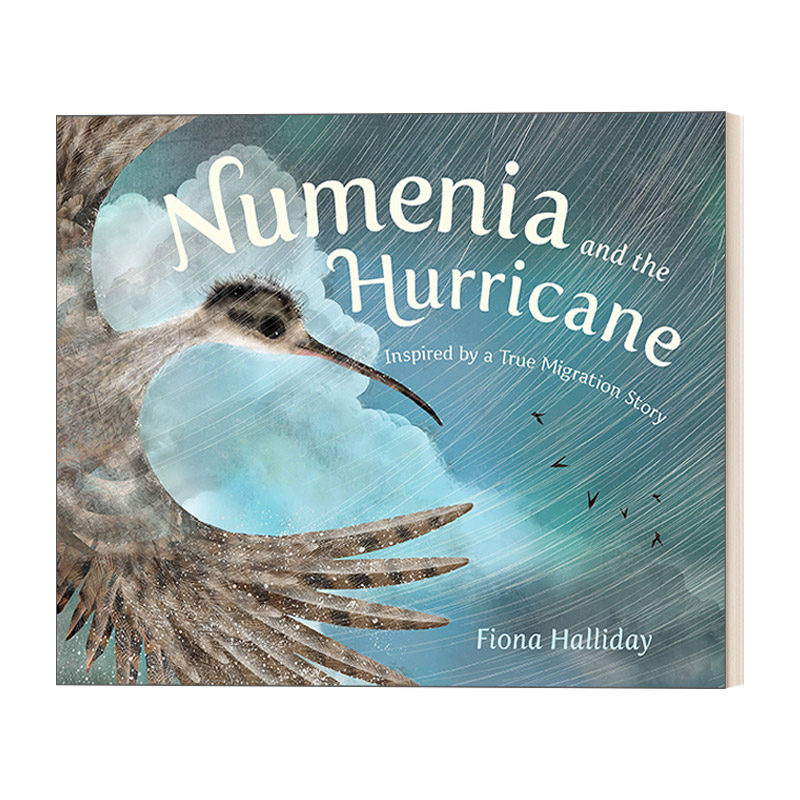 英文原版绘本 Numenia and the Hurricane  努梅尼亚和飓风 动物故事 面对极端天气 精装绘本 英文版 进口英语原版书籍