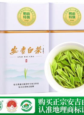 安吉白茶2024年新茶特级2A明前芽绿茶珍稀白茶官方正品茶叶礼盒装