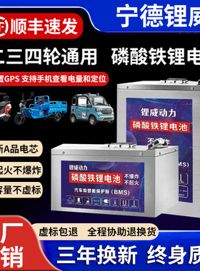 宁德磷酸铁锂电动车锂电池48v60v72v大容量外卖快递二三四轮电瓶