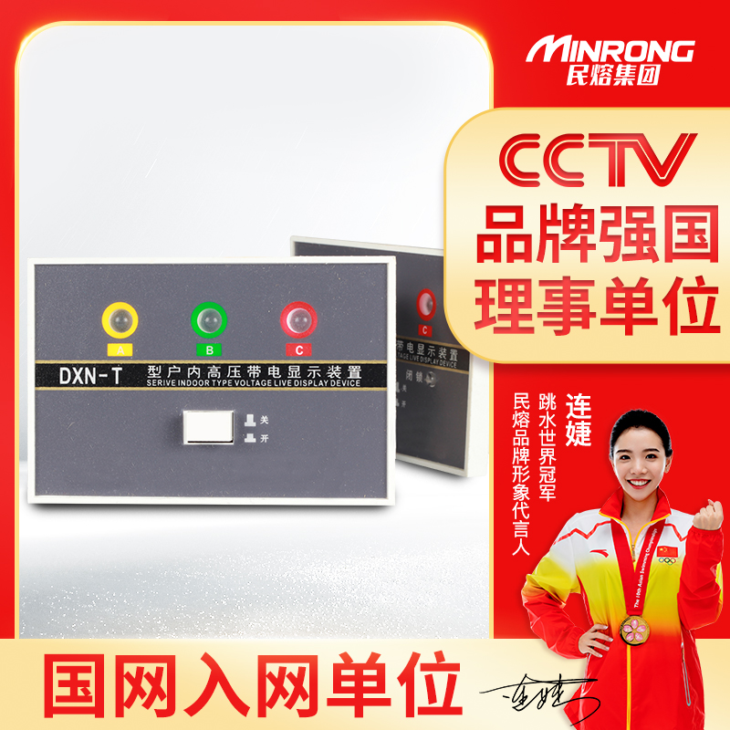 DXN-T户内高压带电显示器装置配CG5-10Q传感器使用 GSN-10T