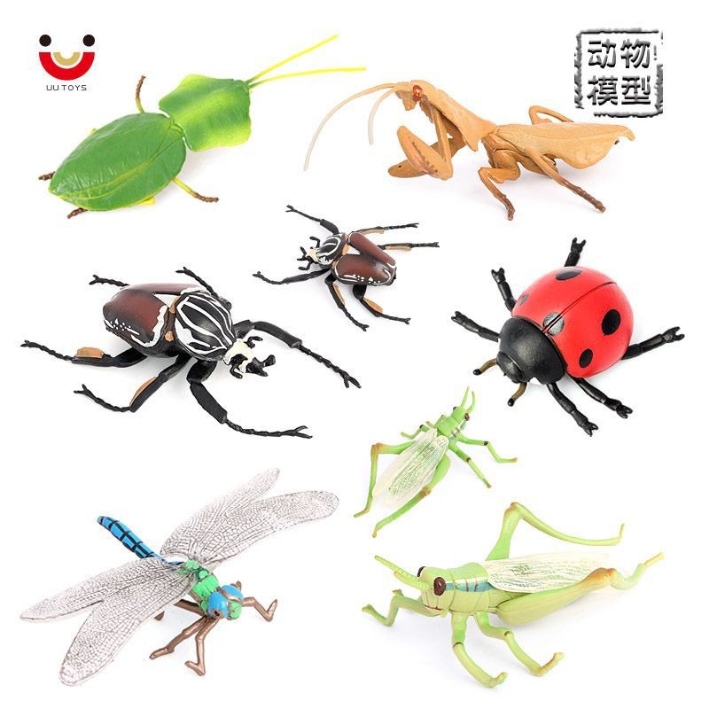 仿真动物昆虫模型蜻蜓蚂蚱瓢虫枯叶螳螂叶背螳花金龟儿童认知玩具