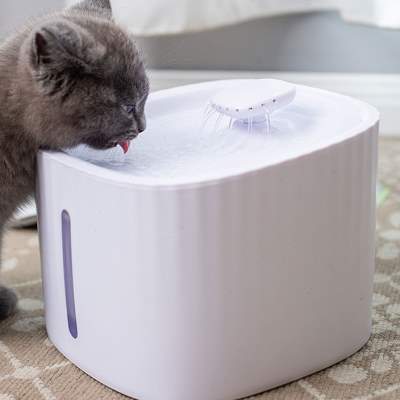 宠物猫咪饮水机智能静音恒温加热自动喝水器流动活水狗狗饮水器