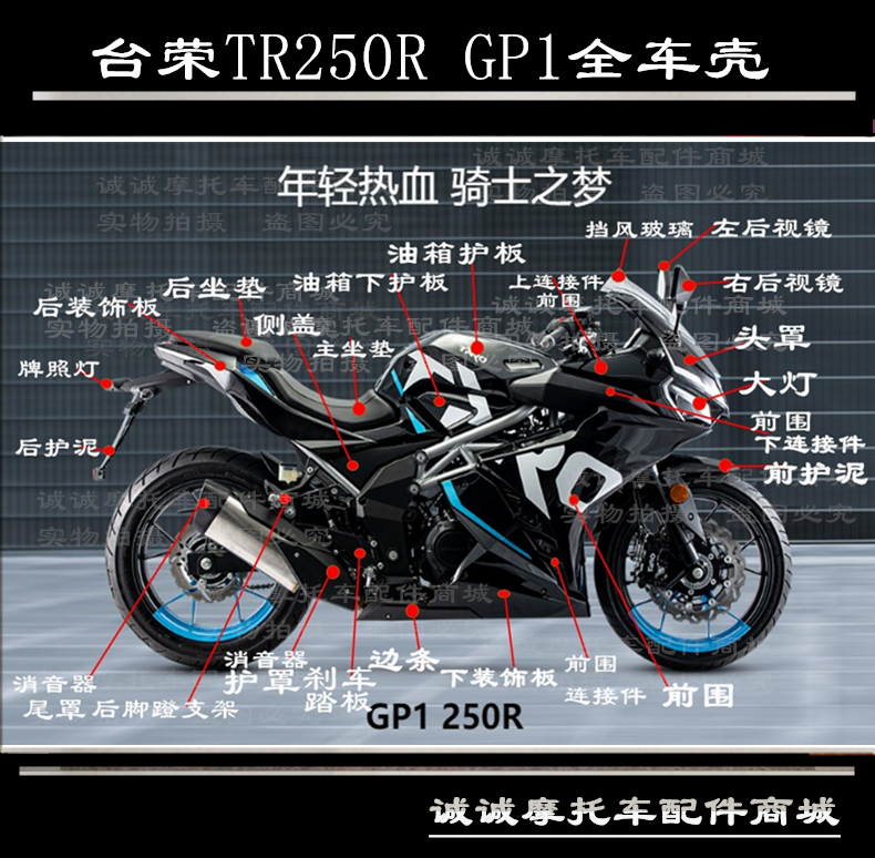 台荣TR250R GP1摩托车全车壳外壳头罩边条油箱护板前围包围牌照灯