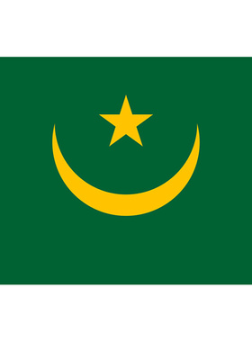包邮 定制3号128*192CM 毛里塔尼亚国旗 防水防晒 可订做各国旗帜