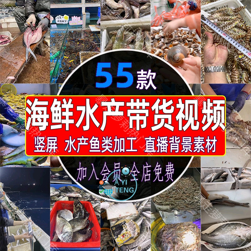 海鲜市场码头大虾小龙虾海胆鱿鱼带鱼类加工直播背景带货视频素材