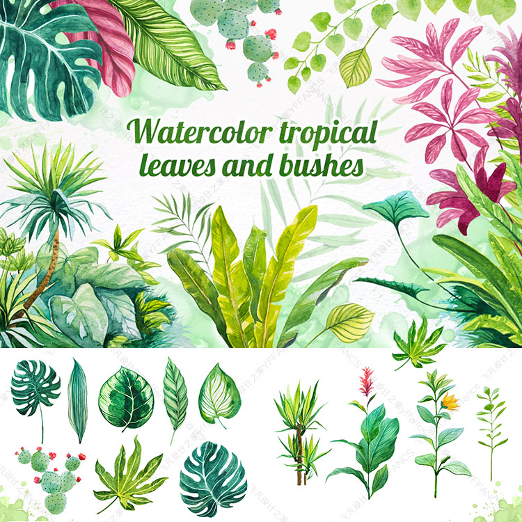 手绘水彩热带雨林森林花卉叶子海报墙纸背景包装设计AI矢量素材