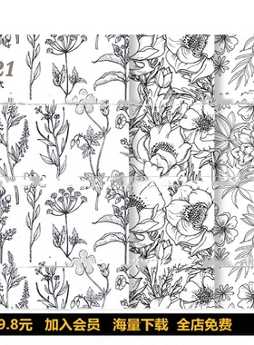 S721矢量AI手绘植物花卉枝叶线描小香风婚礼底纹装饰图案设计素材