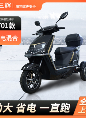 三辉T01三轮电动摩托车油电混动增程版家用代步车通勤外卖电动车