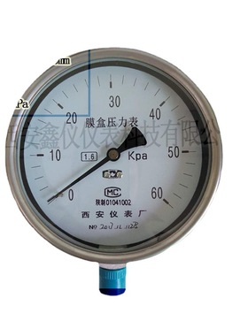西安厂家直销不锈钢膜盒压力表YEF-100活塞式压力计现货发售