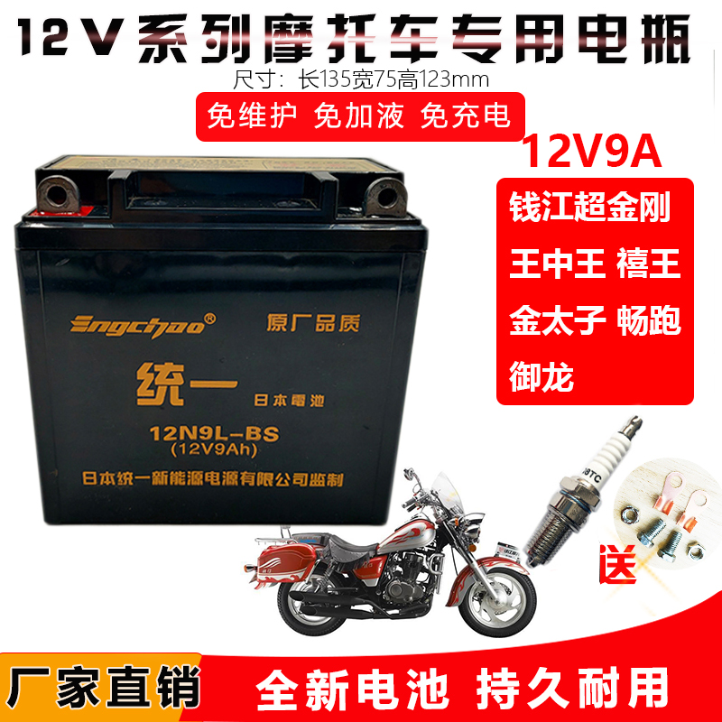 适用钱江摩托车125金刚禧王150-18A钱江龙电瓶12V9A免维护干电池
