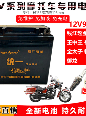 适用钱江摩托车125金刚禧王150-18A钱江龙电瓶12V9A免维护干电池