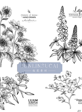 矢量AI黑白手绘花卉植物枝叶包装线稿线描包装白描插画图案素材