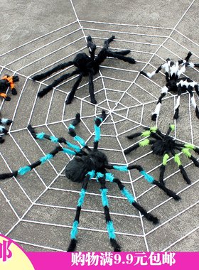 万圣节鬼节装饰布场道具仿真毛绒花蜘蛛1.5米3米白黑色蜘蛛网