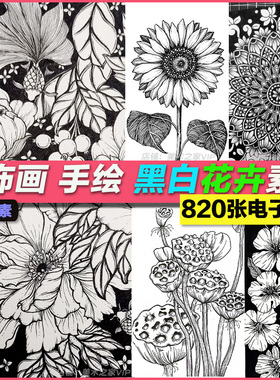 绘画美术线稿黑白装饰画视觉传达考研花卉植物手绘简笔画图片素材