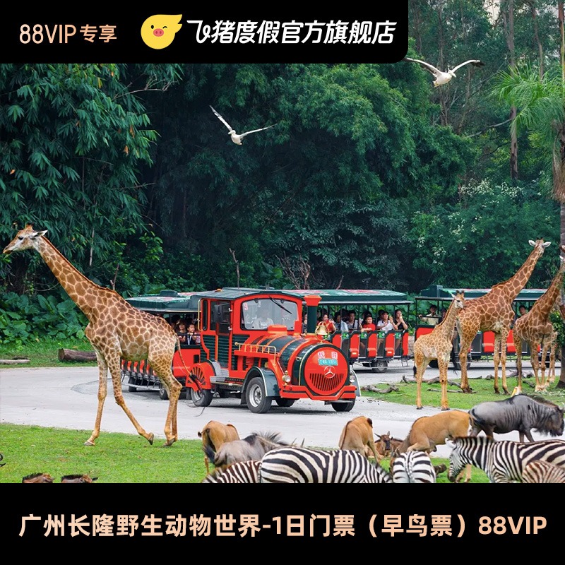 [广州长隆野生动物世界-1日门票（早鸟票）88VIP]广州长隆野生动物世界