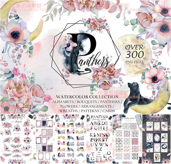 PS-239平面设计素材高清水彩花朵猫咪英文字母边框背景印花PNG