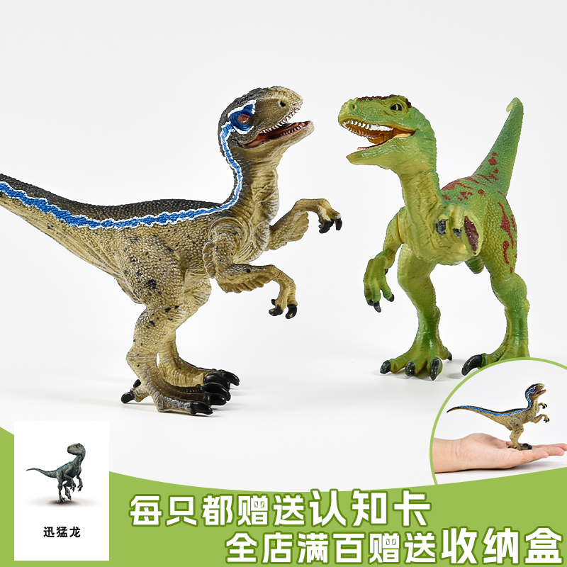 仿真侏罗纪恐龙世界迅猛龙blue快盗伶盗龙实心模型男孩儿童玩具