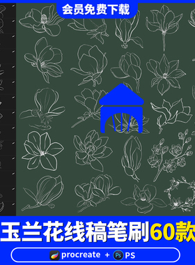 玉兰花卉线稿procreate笔刷ps画笔线描植物花簇手绘插画练习素材