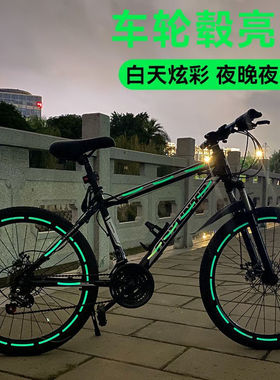 适用于捷安特自行车反光贴纸夜间标识防水夜光贴车轮原装配将大全