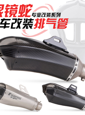 摩托车排气改装 黄龙600 NINJAH2 ZX10R眼镜蛇改装碳纤排气管