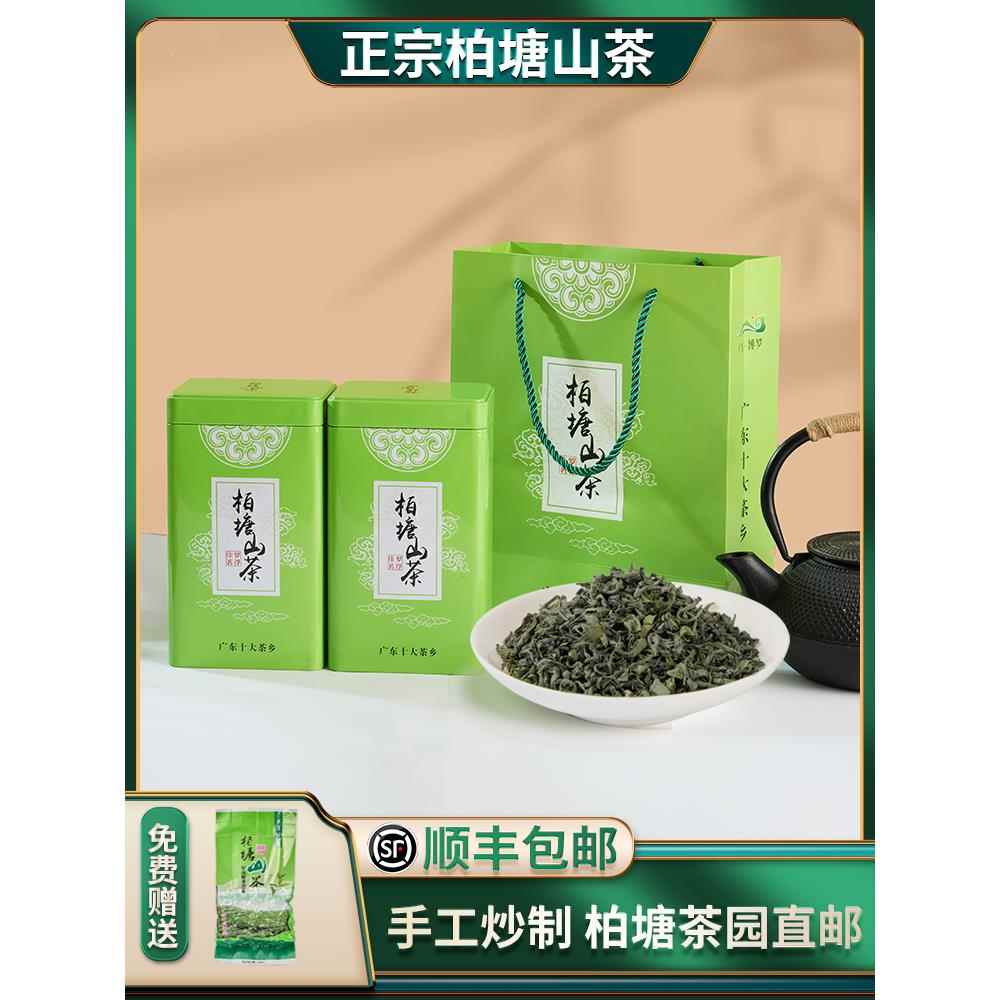 柏塘山茶广东十大名茶惠州博罗特级客家炒青绿茶特产罗浮山茶叶