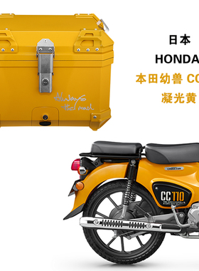 幼兽改装摩托车尾箱HONDA本田幼兽cc110专用专色非铝合金后备箱子