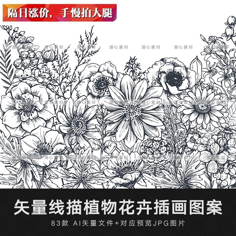 白描花卉矢量图图片