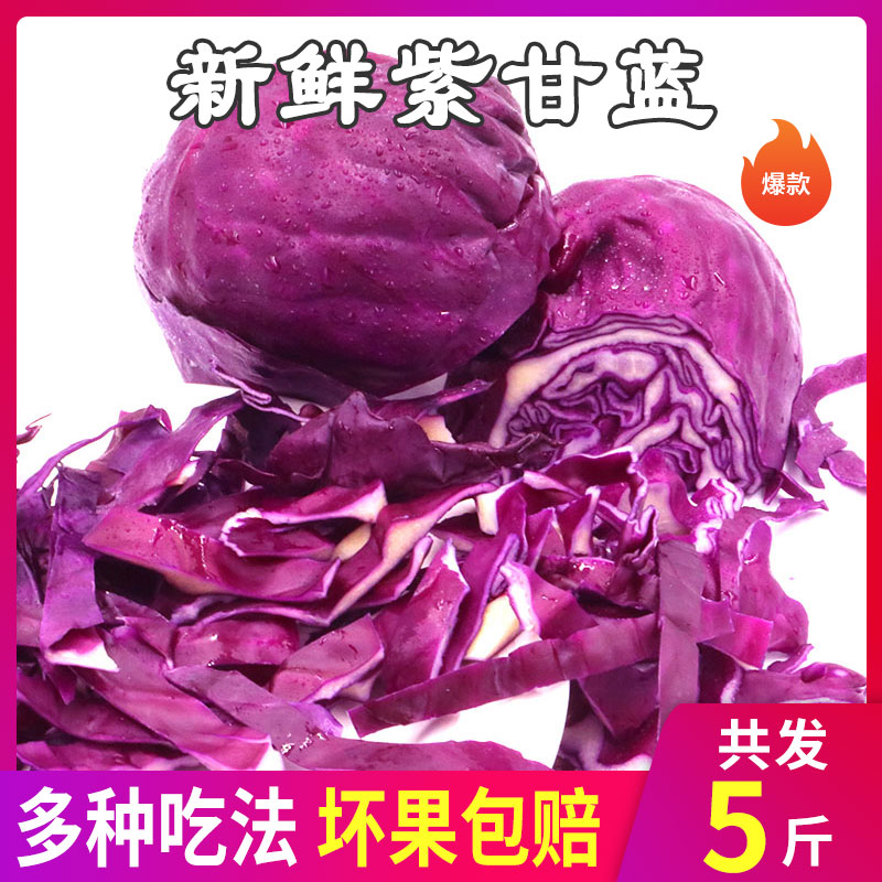 农家卷心菜山东新鲜紫甘蓝5斤沙拉椰菜紫包菜批发蔬菜包邮