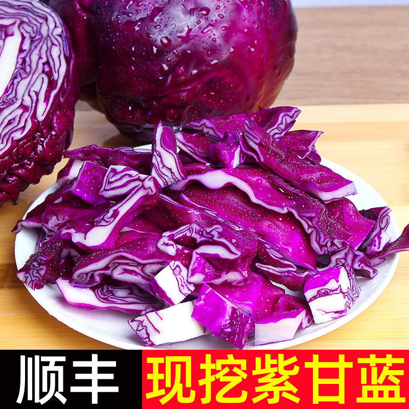紫甘蓝新鲜 紫包菜球顺丰蔬菜紫色椰菜卷心沙拉生菜紫甘兰批发5斤