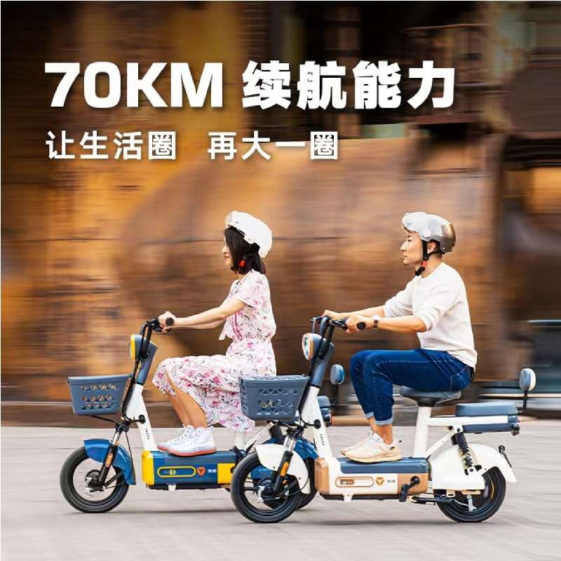 雅迪新款贝塔2022新国标两轮电动车可上牌女士小型代步助力自行车