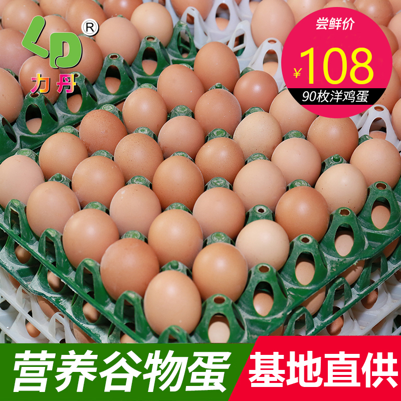 力丹喜蛋洋鸡蛋新鲜鸡蛋生鸡蛋供应超市饭店小吃店烘培店90枚/箱