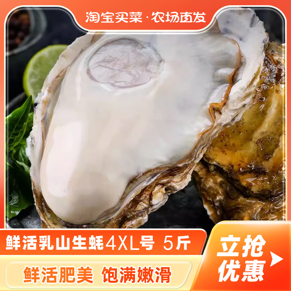 鲜活乳山生蚝4XL 5斤新鲜牡蛎超大肉海蛎子带壳刺身即食海鲜水产
