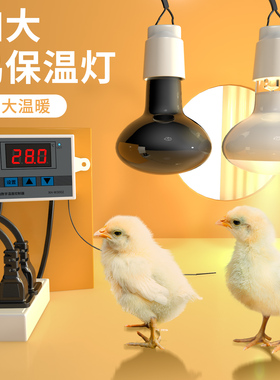 保温灯泡芦丁鸡鹌鹑取暖加温灯宠物育雏灯小鸡保暖加热灯卢丁鸡灯
