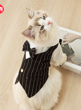 宠物猫咪绅士领结西装防掉毛布偶猫英短美短衣服暹罗猫夏天款衣服