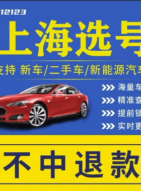 上海车牌自编选号数据库占用查询12123自选新车新能源汽车牌照号