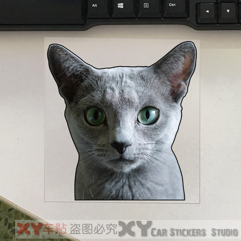 XY車贴 可爱的猫咪头像动物贴花 汽车车窗装饰 防水反光改装贴纸
