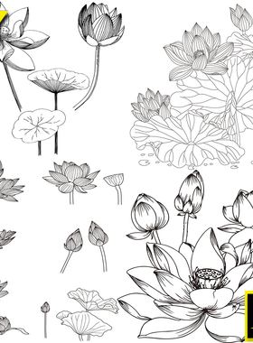 手绘线描素描白描金色线条荷花莲花荷叶印花图案植物花卉矢量素材