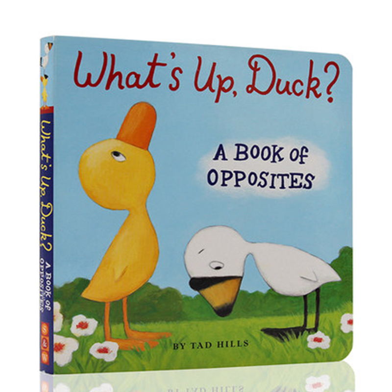 进口英文原版正版 duck and goose What's Up, Duck 发生什么事了 小鸭子 小黄鸭与小白鹅系列 精装纸板书