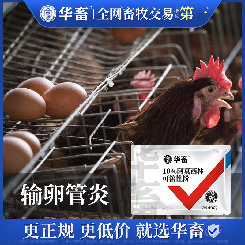 华畜阿莫西林可溶性粉鸡输卵管炎抗菌消炎腹膜炎禽专用软皮鸡蛋