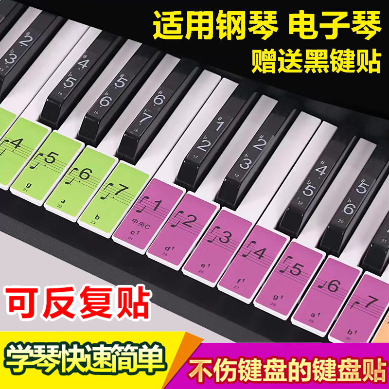 初学88钢琴键盘贴76/61/54键简谱电子琴键盘贴纸五线谱彩色音标贴