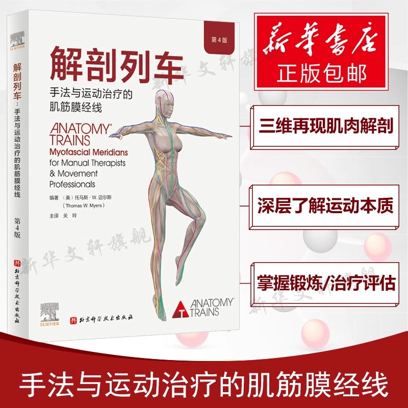 解剖列车 第4版 手法与运动治疗的肌筋膜经线 医学基础教材人体解剖彩色肌肉功能测试全书 奈特身体解读结构分析医学 新华正版书籍