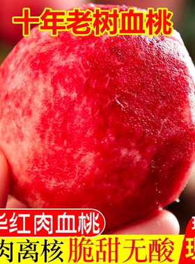 稀罕的水果血桃新鲜各种水果大全应季五月红桃水果类大全土豪水果