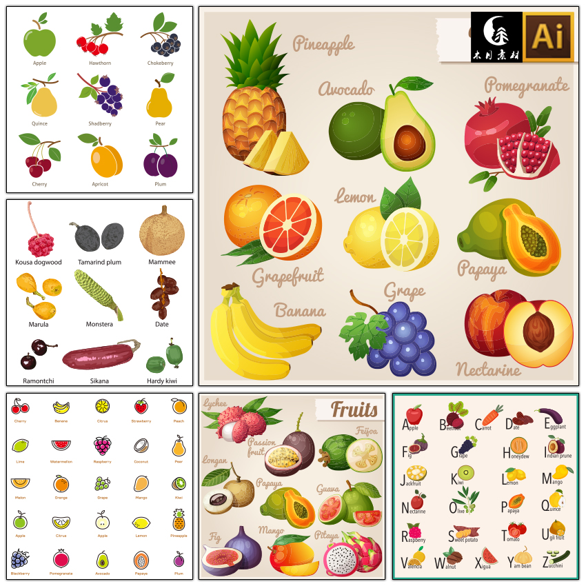 英文看图识物各种成熟水果矢量图片设计素材