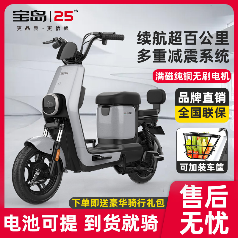 宝岛电动车新国标可上牌N5成人电动自行车男女式48V可提出锂电电