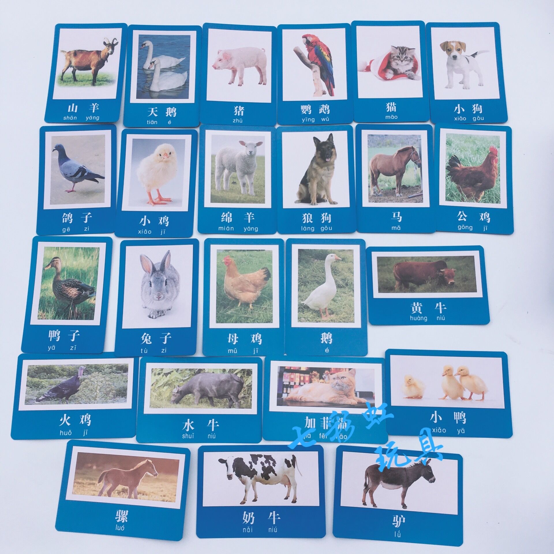 促销家禽动物图片儿童早教认知卡常见家畜卡片幼儿园益智教具玩具