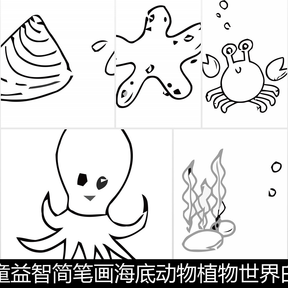 DGX婴幼儿童益智简笔画海底动物植物白描线稿涂色上色矢量素材