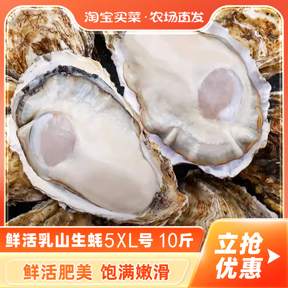 鲜活乳山生蚝5XL 10斤新鲜牡蛎超大肉海蛎子带壳刺身即食海鲜水产
