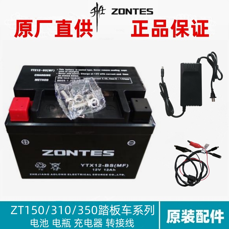 升仕ZT150/310/350-D/E/M胶体12Ah铅酸蓄电池摩托电瓶智能充电器