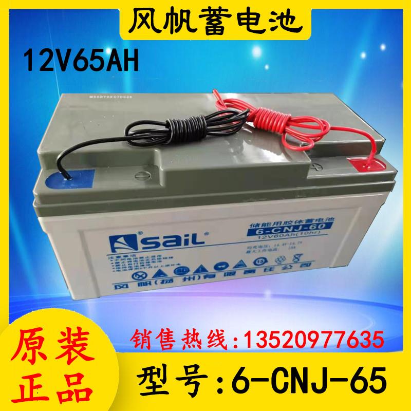 蓄电池引线版6-CNJ-65免维护12V65AH/太阳能风能/基站/号灯